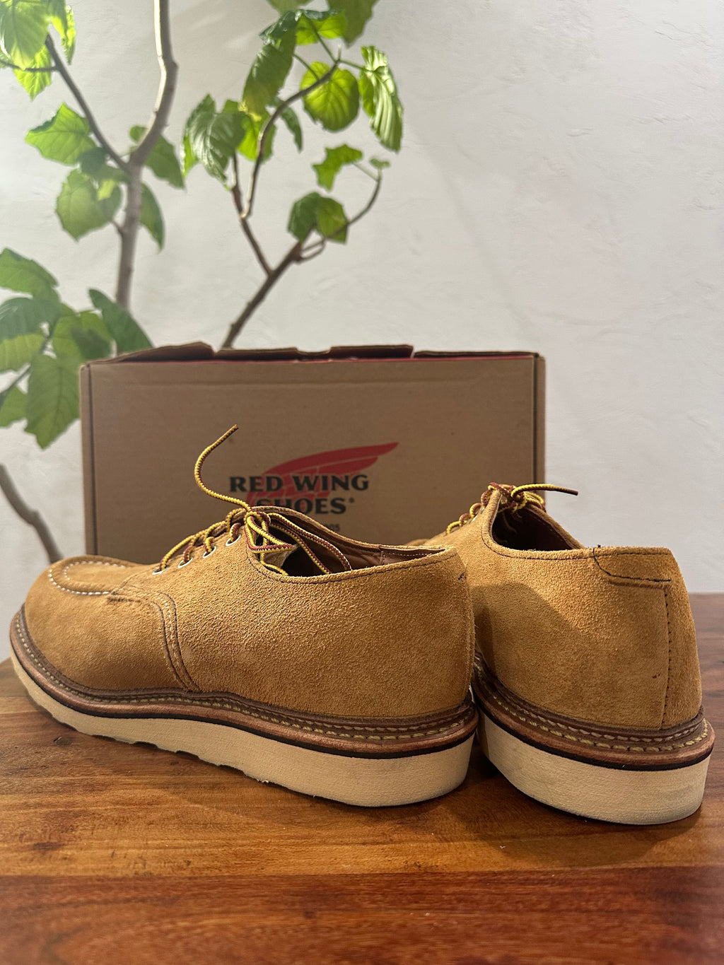 Red Wing (レッドウィング) 8105 Work Oxford (Moc Toe) ベージュ (Beige) メイズ・アビレーン・ラフアウト (Maize Abilene Roughout) トラクショントレッドソール (Traction Tred Sole) used boots - back_1 view