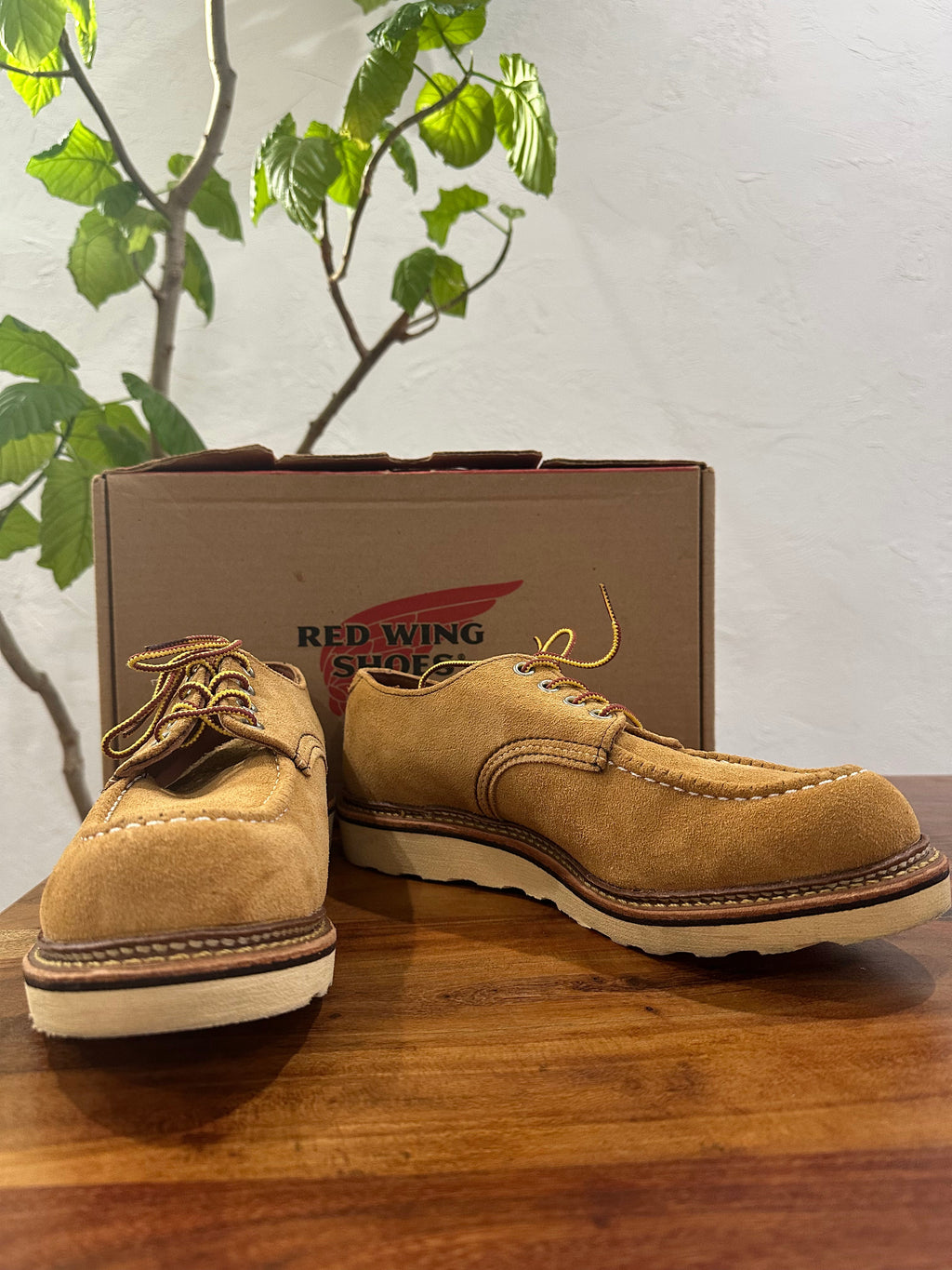 Red Wing (レッドウィング) 8105 Work Oxford (Moc Toe) ベージュ (Beige) メイズ・アビレーン・ラフアウト (Maize Abilene Roughout) トラクショントレッドソール (Traction Tred Sole) used boots - fr_1 view