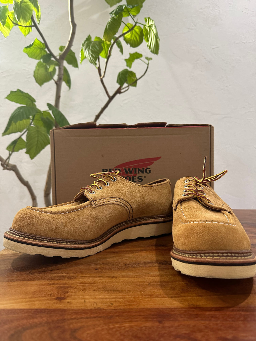 Red Wing (レッドウィング) 8105 Work Oxford (Moc Toe) ベージュ (Beige) メイズ・アビレーン・ラフアウト (Maize Abilene Roughout) トラクショントレッドソール (Traction Tred Sole) used boots - fr_2 view