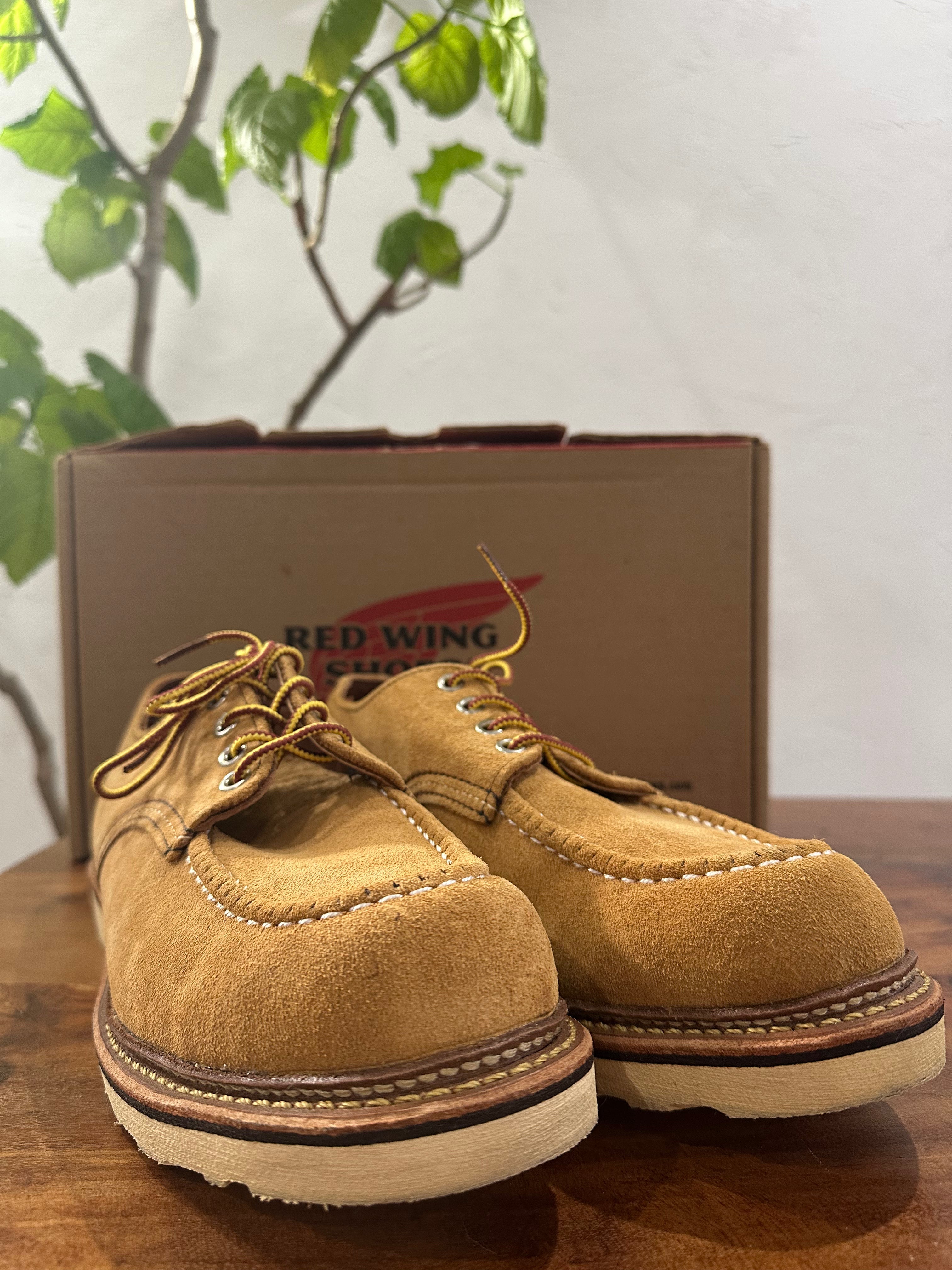 Red Wing (レッドウィング) 8105 Work Oxford (Moc Toe) ベージュ (Beige) メイズ・アビレーン・ラフアウト (Maize Abilene Roughout) トラクショントレッドソール (Traction Tred Sole) used boots - toe_2 view