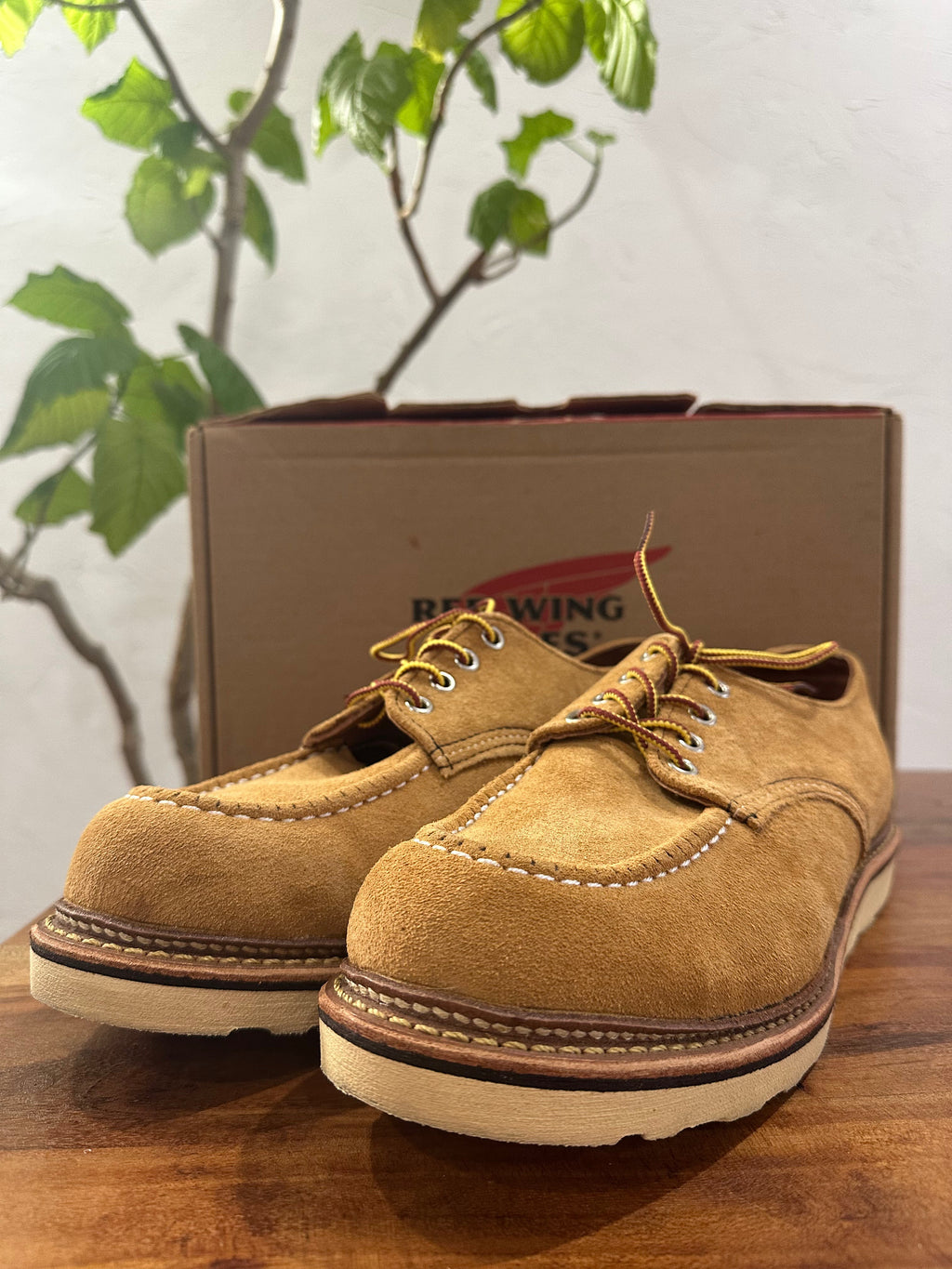 Red Wing (レッドウィング) 8105 Work Oxford (Moc Toe) ベージュ (Beige) メイズ・アビレーン・ラフアウト (Maize Abilene Roughout) トラクショントレッドソール (Traction Tred Sole) used boots - toe_3 view