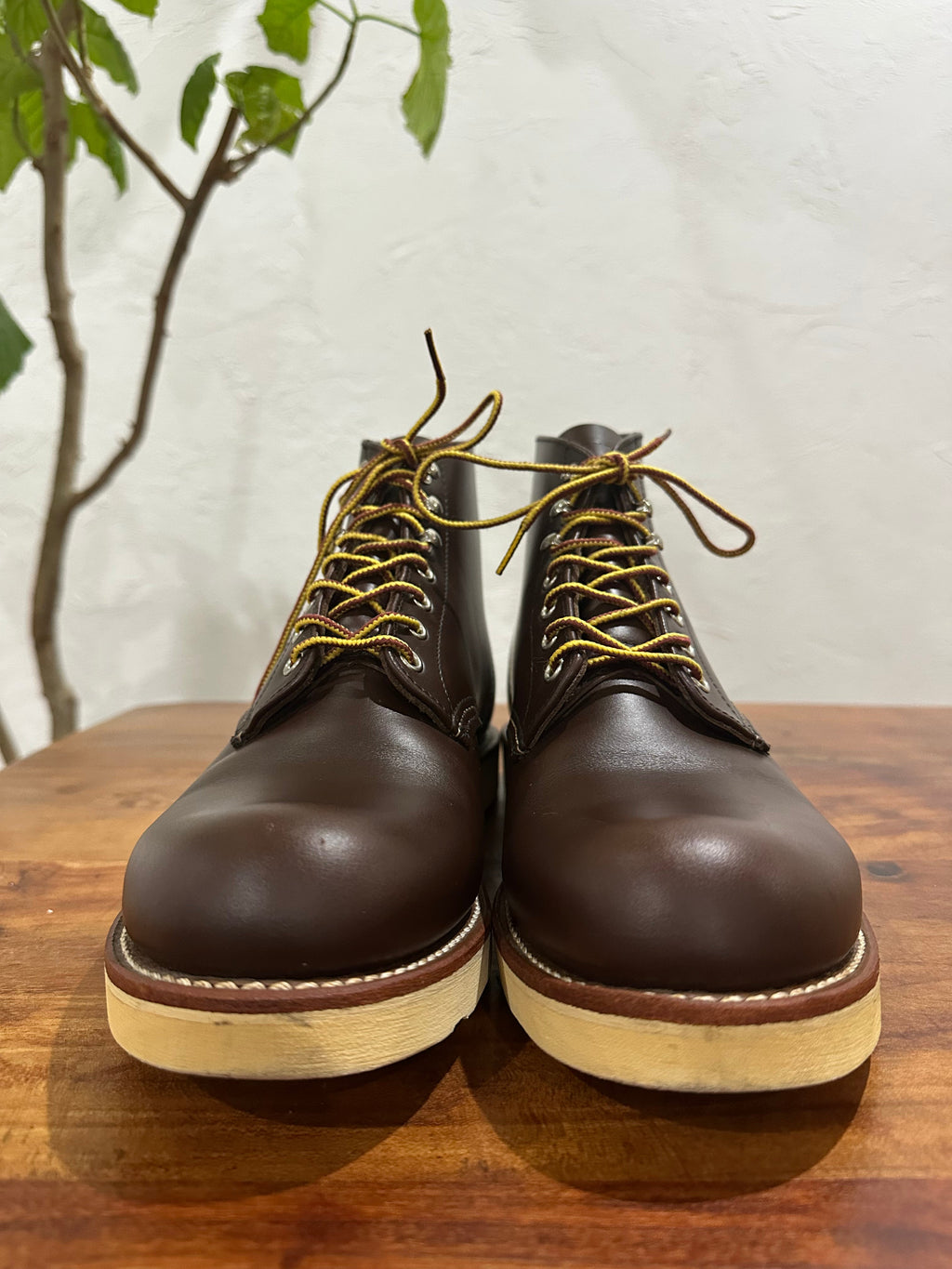 Red Wing (レッドウィング) 8134 Classic Work 6-Inch Round Toe チョコレート (Chocolate) チョコレート・クローム (Chocolate Chrome) トラクショントレッド・ソール (Traction Tred Sole) used boots - toe_1 view