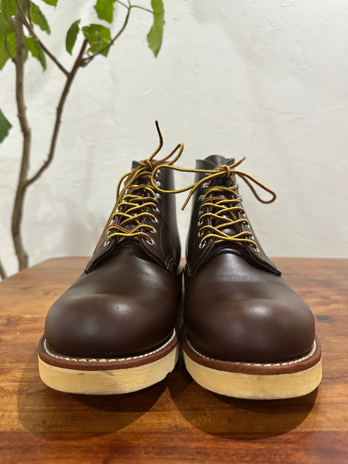Red Wing (レッドウィング) 8134 Classic Work 6-Inch Round Toe チョコレート (Chocolate) チョコレート・クローム (Chocolate Chrome) トラクショントレッド・ソール (Traction Tred Sole) used boots - toe_1 view