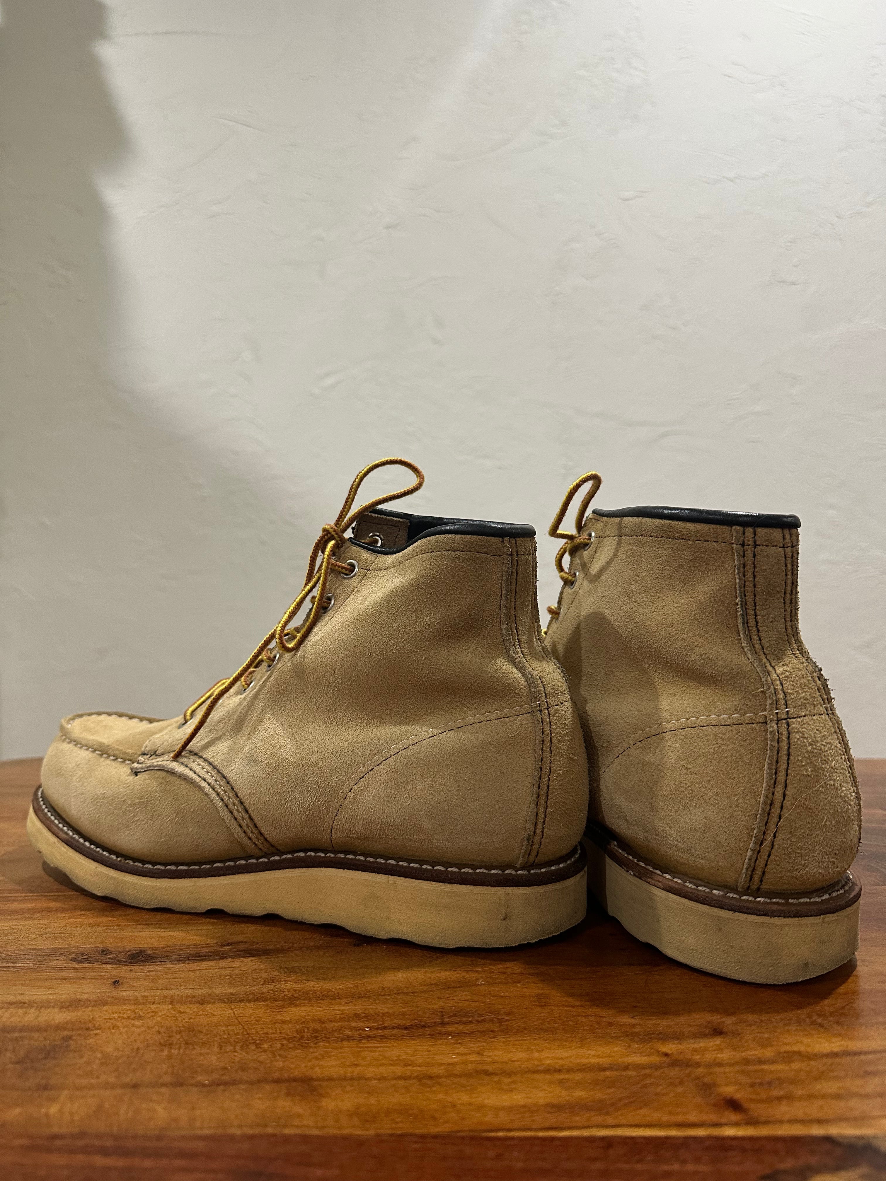 Red Wing (レッドウィング) 8173 Classic Work 6-Inch Moc Toe ホーソーン (Hawthorne) ホーソーン・アビリーン・ラフアウト (Hawthorne Abilene Roughout) トラクショントレッド・ソール (Traction Tred Sole) used boots - back_1 view
