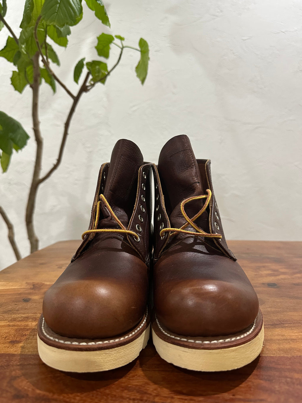 Red Wing (レッドウィング) 8196 Classic Work 6-Inch Round Toe ブラウン (Brown) ブライアー・オイルスリック (Briar Oil Slick) トラクショントレッド・ソール (Traction Tred Sole) used boots - toe_1 view