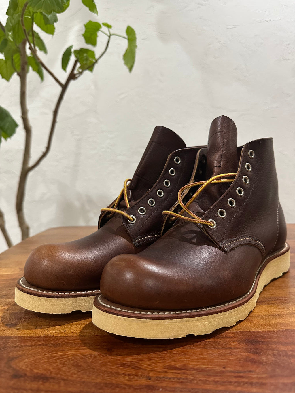 Red Wing (レッドウィング) 8196 Classic Work 6-Inch Round Toe ブラウン (Brown) ブライアー・オイルスリック (Briar Oil Slick) トラクショントレッド・ソール (Traction Tred Sole) used boots - toe_3 view