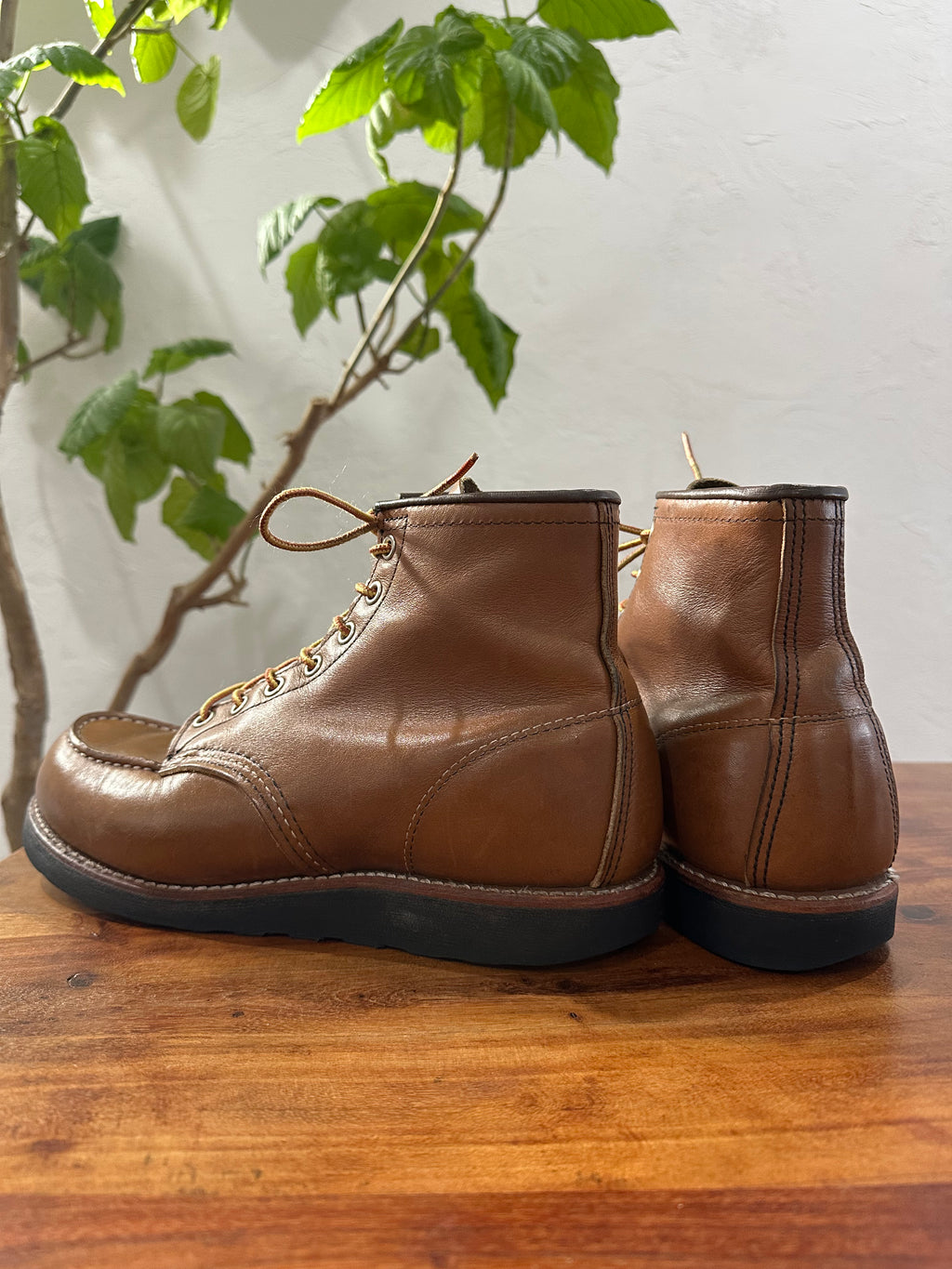 Red Wing (レッドウィング) 8852 Classic Moc 6-Inch ベルヴァ (Velva) ベルヴァリタン (Velva Retan) ブラック・トラクショントレッド (Black Traction Tred) used boots - back_1 view