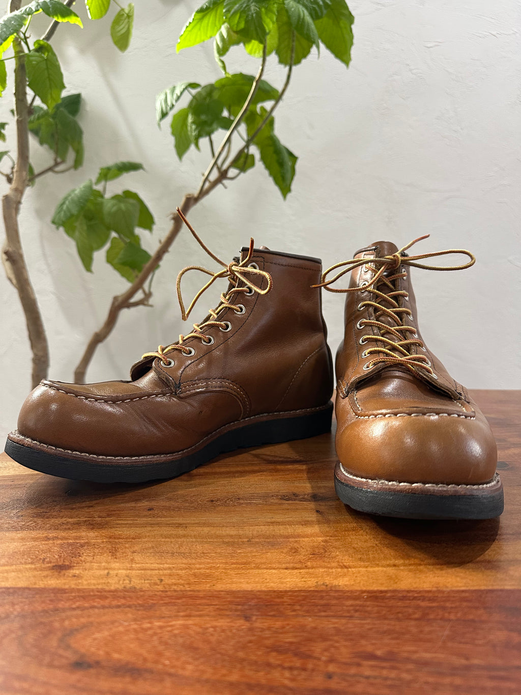 Red Wing (レッドウィング) 8852 Classic Moc 6-Inch ベルヴァ (Velva) ベルヴァリタン (Velva Retan) ブラック・トラクショントレッド (Black Traction Tred) used boots - fr_2 view