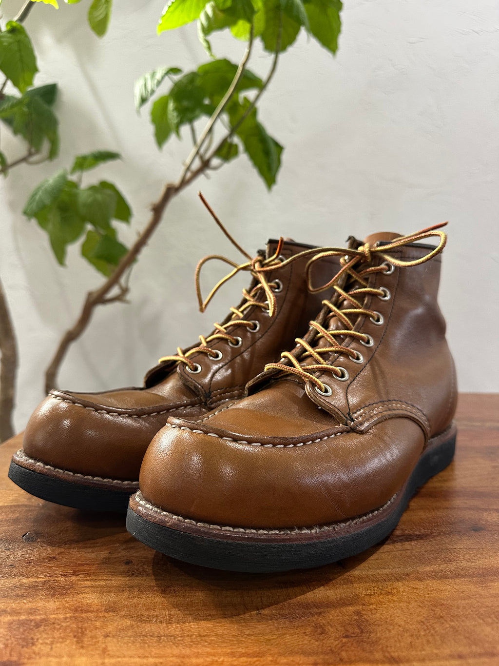 Red Wing (レッドウィング) 8852 Classic Moc 6-Inch ベルヴァ (Velva) ベルヴァリタン (Velva Retan) ブラック・トラクショントレッド (Black Traction Tred) used boots - toe_3 view