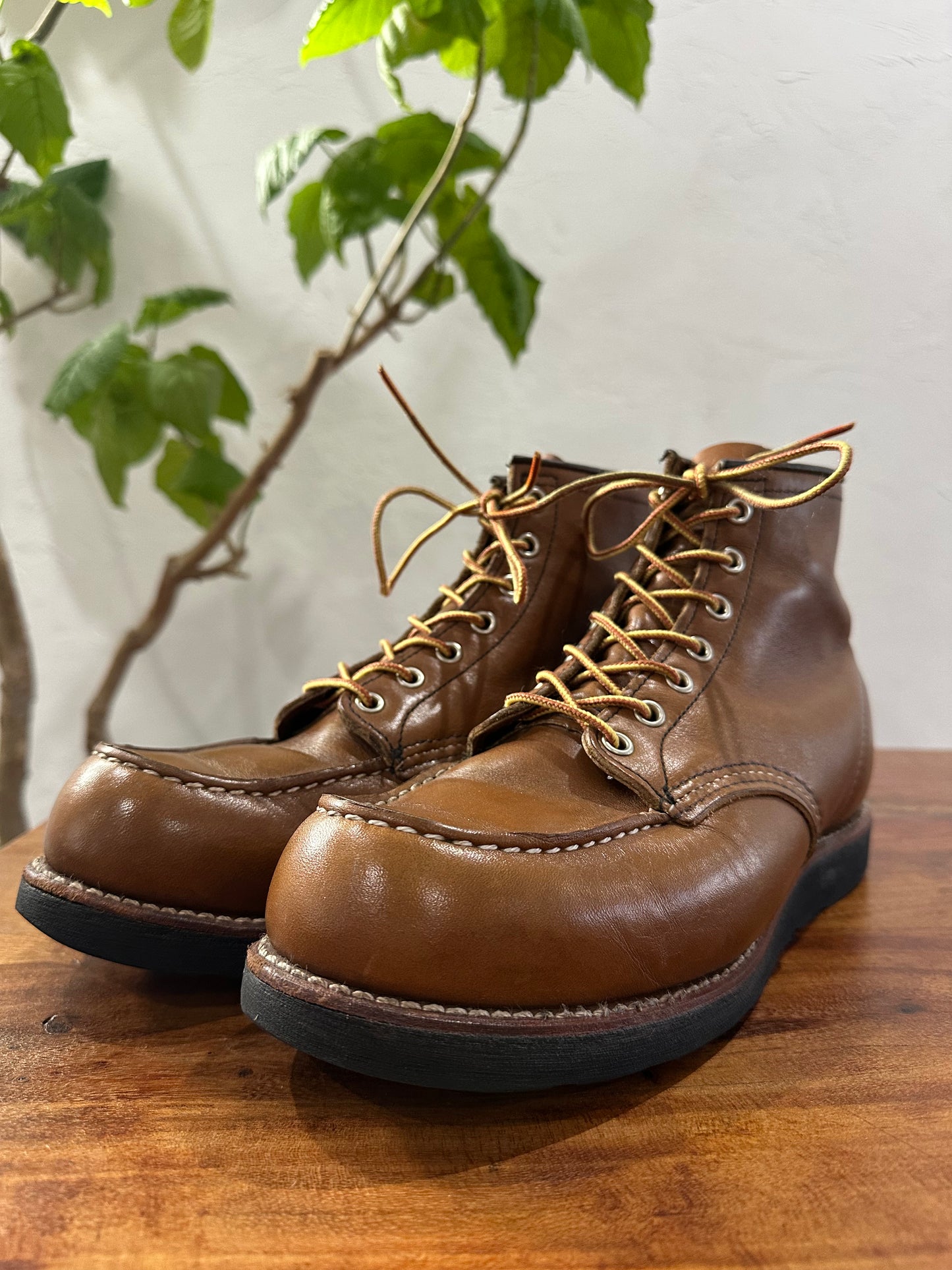 Red Wing (レッドウィング) 8852 Classic Moc 6-Inch ベルヴァ (Velva) ベルヴァリタン (Velva Retan) ブラック・トラクショントレッド (Black Traction Tred) used boots - toe_3 view