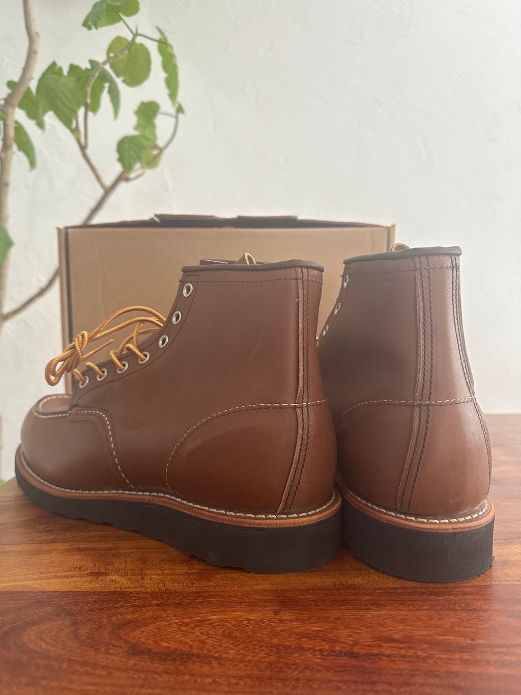 Red Wing (レッドウィング) 8852 Classic Moc 6-Inch ベルヴァ (Velva) ベルヴァリタン (Velva Retan) ブラック・トラクショントレッド (Black Traction Tred) used boots - back_1 view