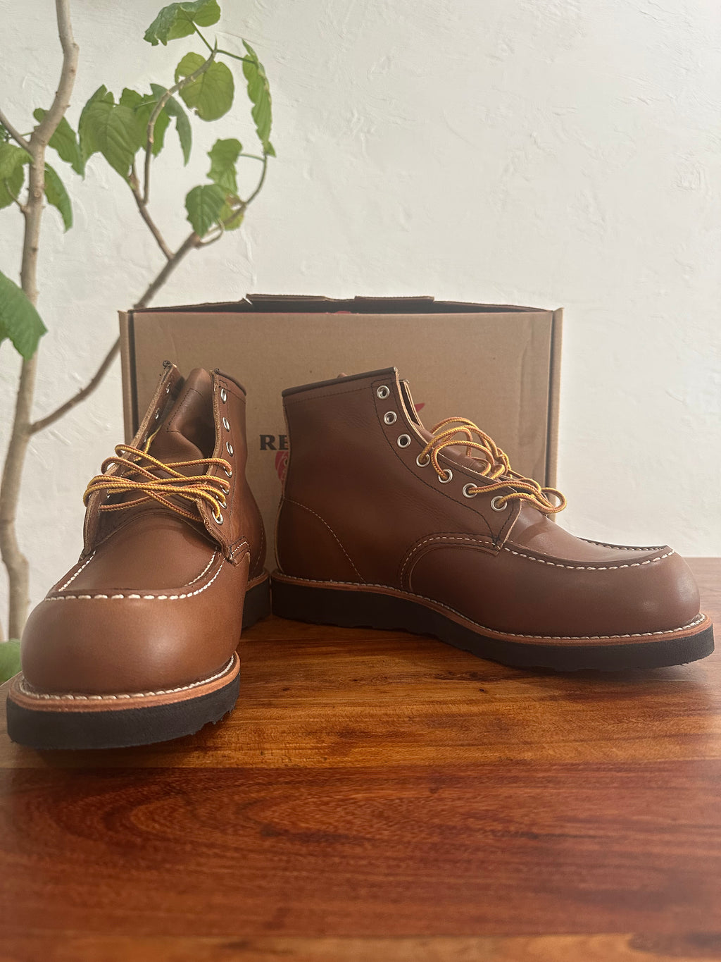Red Wing (レッドウィング) 8852 Classic Moc 6-Inch ベルヴァ (Velva) ベルヴァリタン (Velva Retan) ブラック・トラクショントレッド (Black Traction Tred) used boots - fr_1 view