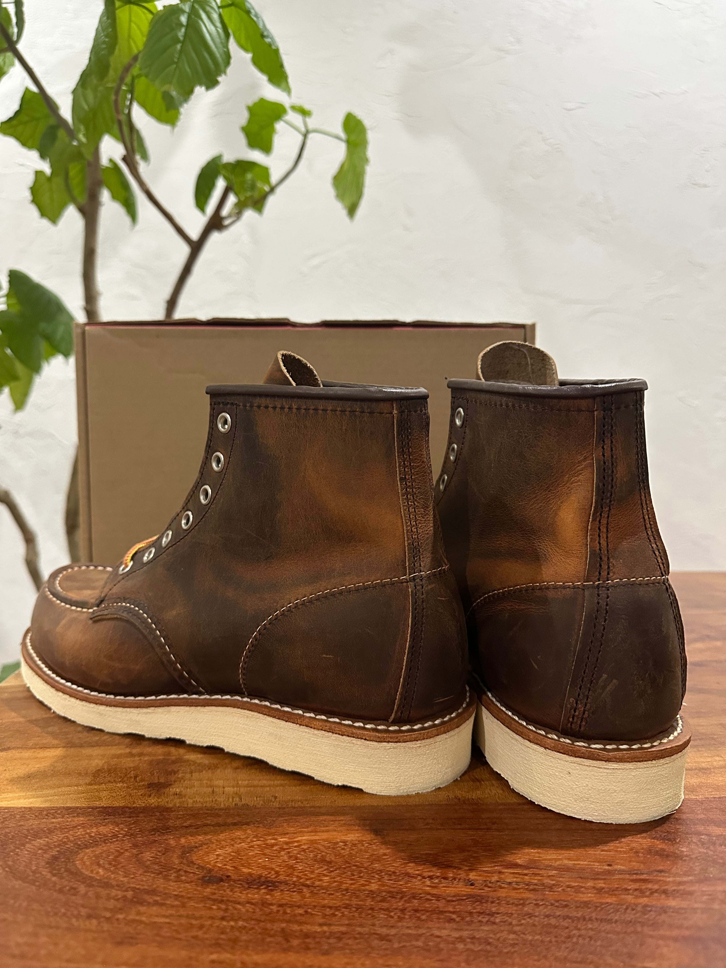 Red Wing (レッドウィング) 8876 Classic Moc 6-Inch ブラウン (Brown) カッパー・ラフアンドタフ (Copper Rough & Tough) トラクショントレッド・ソール (Traction Tred Sole) used boots - back_1 view