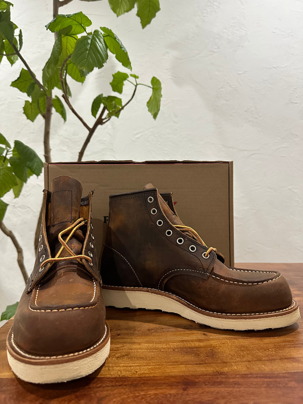 Red Wing (レッドウィング) 8876 Classic Moc 6-Inch ブラウン (Brown) カッパー・ラフアンドタフ (Copper Rough & Tough) トラクショントレッド・ソール (Traction Tred Sole) used boots - fr_1 view
