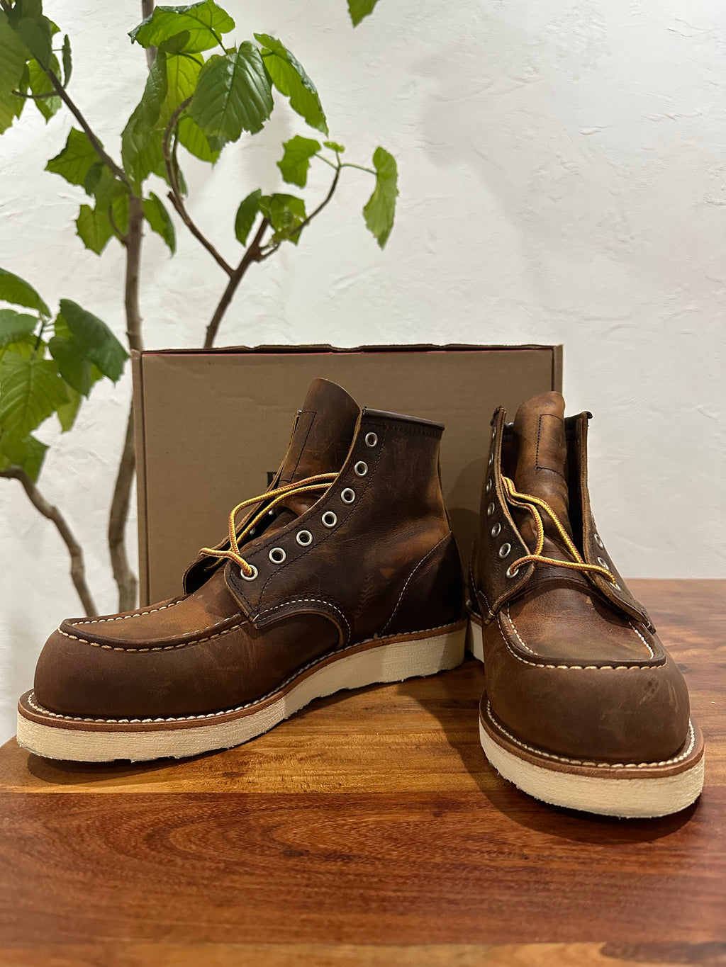 Red Wing (レッドウィング) 8876 Classic Moc 6-Inch ブラウン (Brown) カッパー・ラフアンドタフ (Copper Rough & Tough) トラクショントレッド・ソール (Traction Tred Sole) used boots - fr_2 view