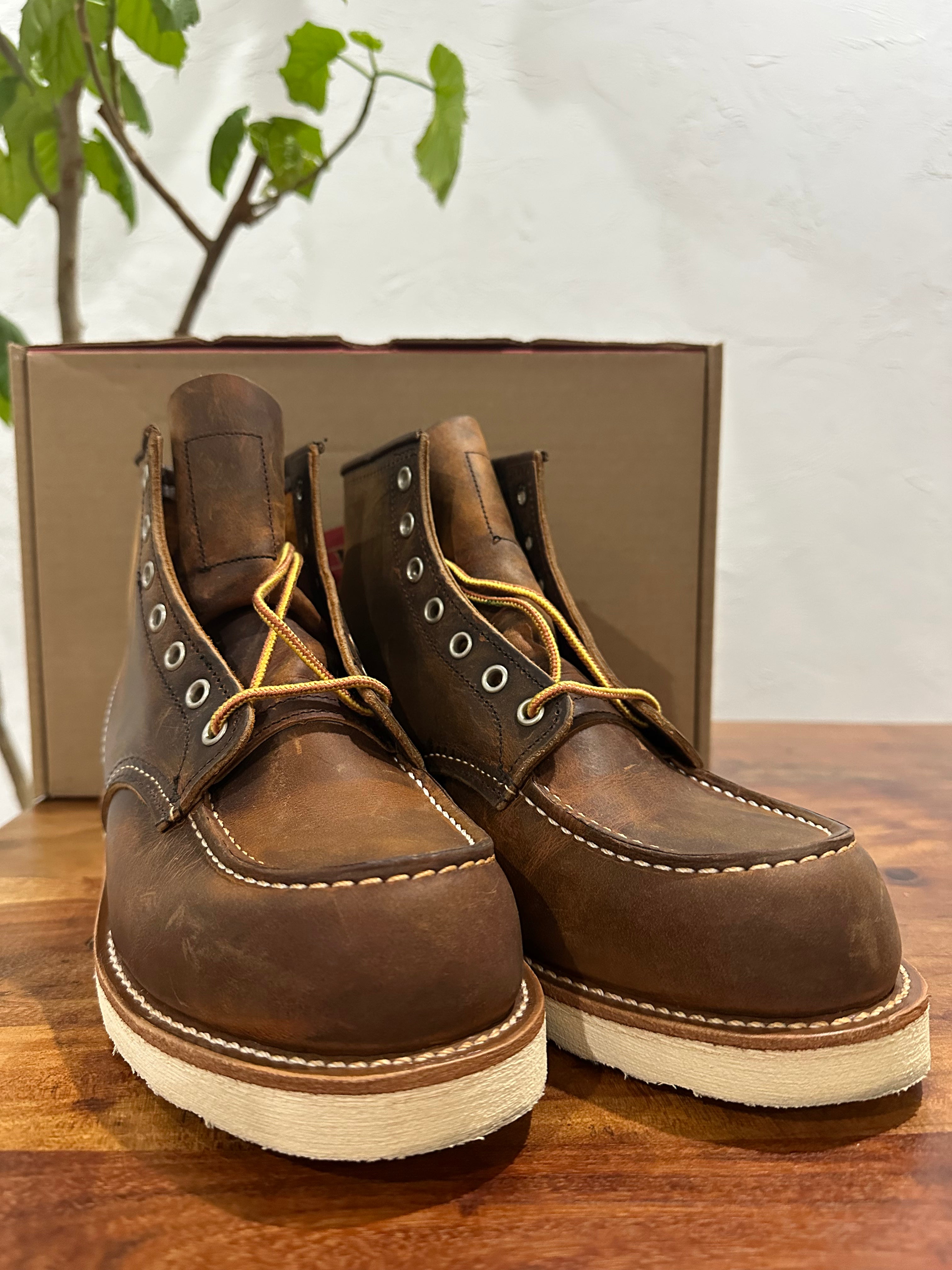 Red Wing (レッドウィング) 8876 Classic Moc 6-Inch ブラウン (Brown) カッパー・ラフアンドタフ (Copper Rough & Tough) トラクショントレッド・ソール (Traction Tred Sole) used boots - toe_2 view