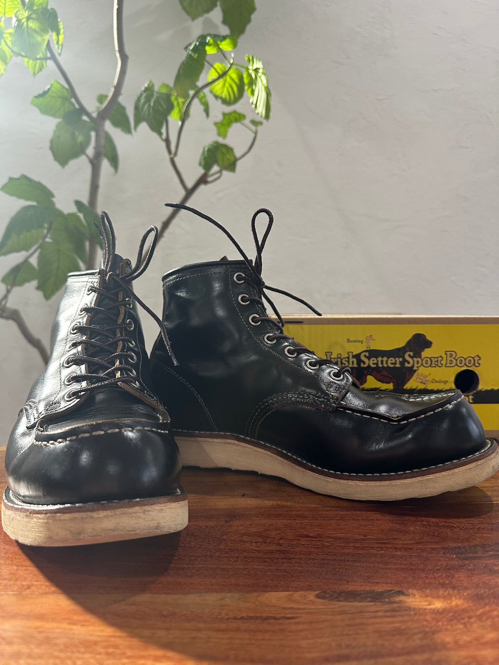 Red Wing (レッドウィング) 9874 Irish Setter 6" Moc Toe ブラック (Black) ブラック「クロンダイク」(Black "Klondike") 茶芯レザー トラクション・トレッド (Traction Tred) ホワイト used boots - fr_1 view