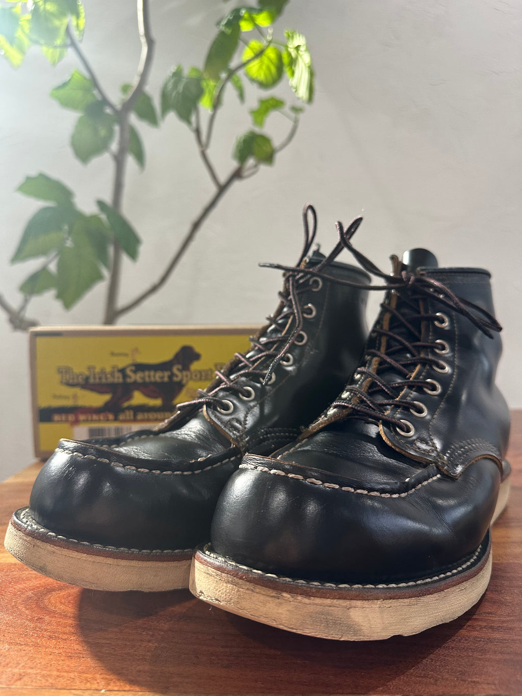 Red Wing (レッドウィング) 9874 Irish Setter 6" Moc Toe ブラック (Black) ブラック「クロンダイク」(Black "Klondike") 茶芯レザー トラクション・トレッド (Traction Tred) ホワイト used boots - toe_3 view
