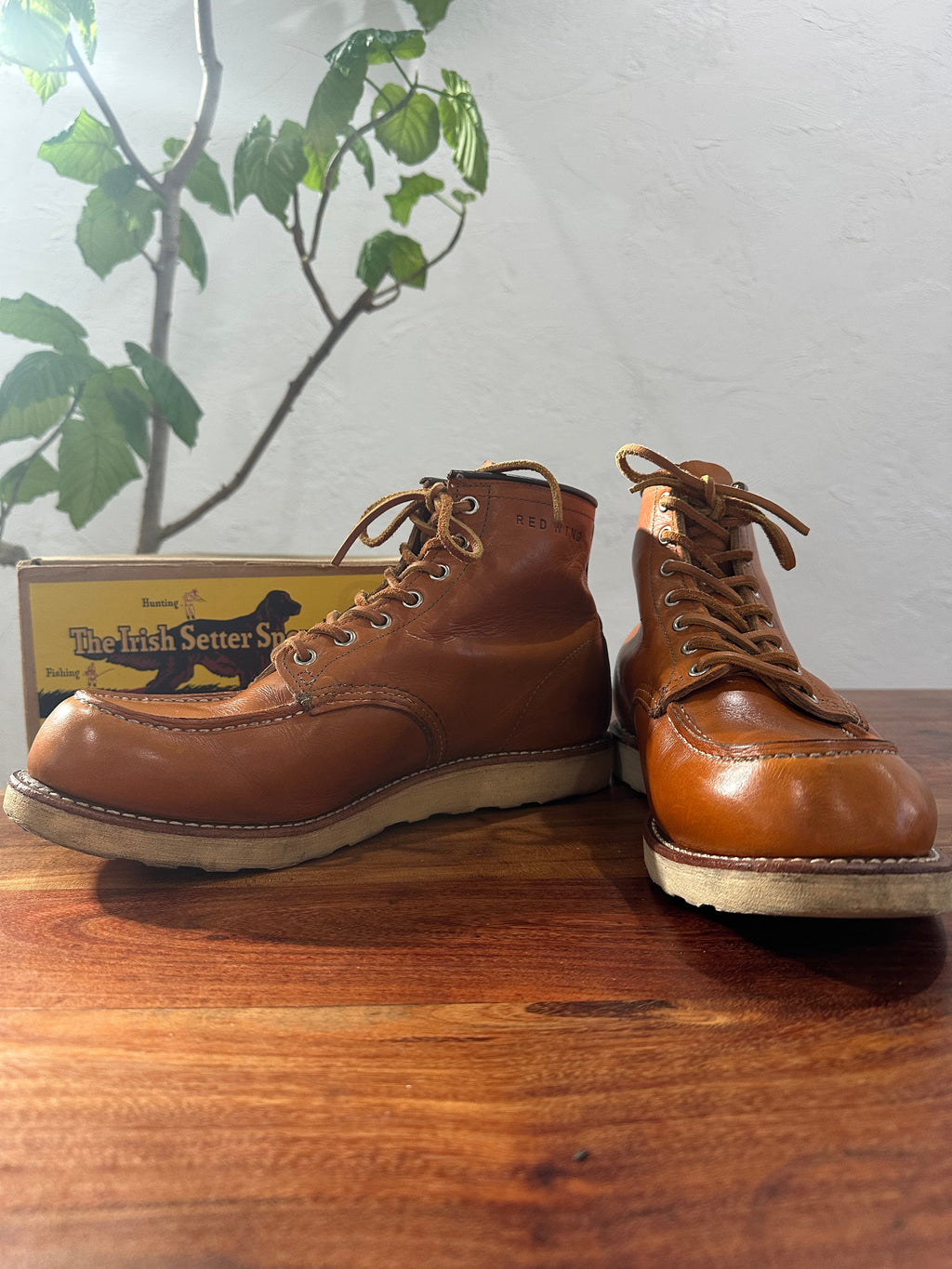 Red Wing (レッドウィング) 9875 Classic Moc 6-Inch ゴールドラセット (Gold Russet) ゴールドラセット・セコイア (Gold Russet Sequoia) トラクショントレッド・ソール (Traction Tred Sole) used boots - fr_2 view