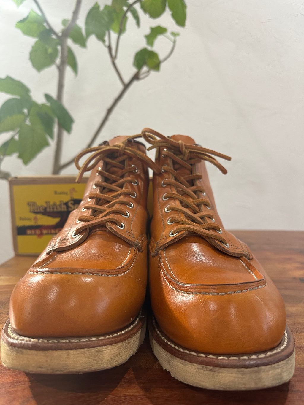 Red Wing (レッドウィング) 9875 Classic Moc 6-Inch ゴールドラセット (Gold Russet) ゴールドラセット・セコイア (Gold Russet Sequoia) トラクショントレッド・ソール (Traction Tred Sole) used boots - toe_1 view